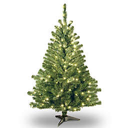 National Tree Company 4-Foot Kincaid Spruce Christmas Tree with Clear Lights