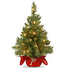 Alternate image 0 for National Tree Company 2-Foot Majestic Fir Pre-Lit Christmas Tree with Clear Lights and Burgundy Base