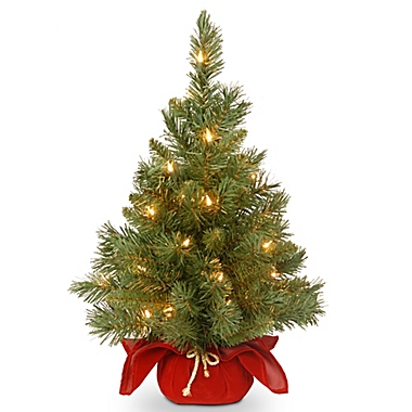 National Tree Company 2-Foot Majestic Fir Pre-Lit Christmas Tree with Clear Lights and Burgundy Base. View a larger version of this product image.