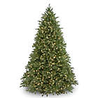 Alternate image 0 for National Tree Company 7.5-Foot Pre-Lit Jersey Fraser Fir Christmas Tree with Clear Lights