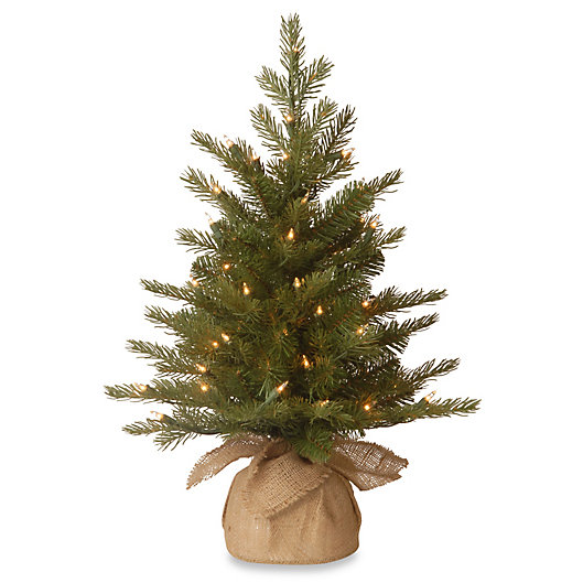 Alternate image 1 for National Tree 2-Foot Nordic Spruce Christmas Tree