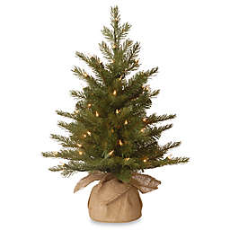 National Tree 2-Foot Nordic Spruce Christmas Tree