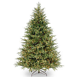 National Tree 7.5-Foot Frasier Grande Pre-Lit Christmas Tree with Clear Lights