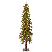 National Tree Company Pre-Lit Hickory Cedar Christmas Tree with Clear Lights