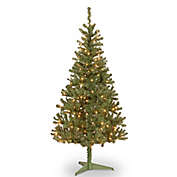 National Tree 6-Foot Canadian Grande Fir Pre-Lit Christmas Tree with Clear Lights
