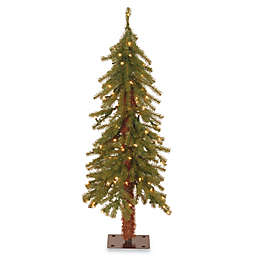 National Tree Company 3-Foot Hickory Cedar Christmas Tree Pre-Lit with Clear Lights
