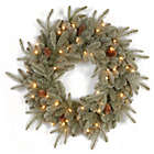 Alternate image 0 for National Tree 24-Inch Feel-Real&reg; Frosted Arctic Christmas Spruce Wreath with Clear Lights