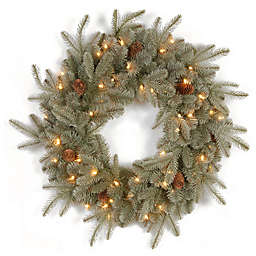 National Tree 24-Inch Feel-Real® Frosted Arctic Christmas Spruce Wreath with Clear Lights