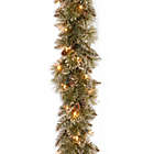 Alternate image 0 for National Tree Company 9-Foot Pre-Lit Glittery Bristle Pine Garland with Clear Lights