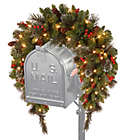 Alternate image 0 for National Tree Company Crestwood Spruce 36-Inch Pre-Lit Mailbox Swag