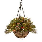 National Tree Company Crestwood Spruce 20-Inch Pre-Lit Hanging Basket