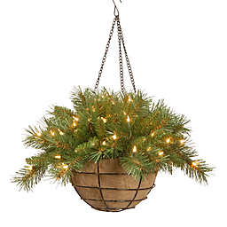 National Tree Company 20-Inch Tiffany Fir Hanging Basket with Warm White LED Lights