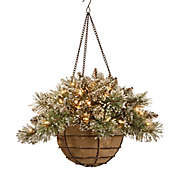 National Tree Company 20-Inch Pre-Lit Glittery Bristle Pine Hanging Basket w/ Warm White LEDs