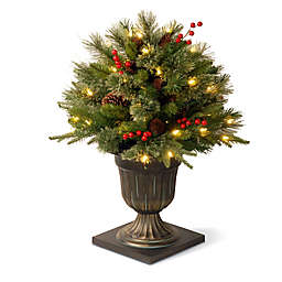 National Tree 26-Inch Frosted Arctic Spruce Pre-Lit Porch Bush with Clear Lights