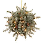 National Tree 12-Inch Feel-Real&reg; Frosted Arctic Christmas Spruce Kissing Ball