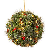National Tree Company 12-Inch Pre-Lit LED Crestwood Spruce Kissing Ball
