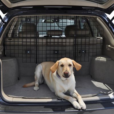 pet barrier for suv