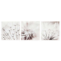 Dandelion 15.75-Inch x 17.75-Inch Canvas Wall Art (Set of 3)