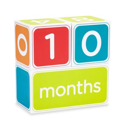 pearhead baby age blocks