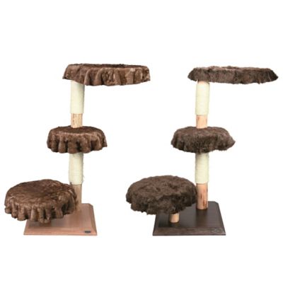 cat tree bed bath and beyond