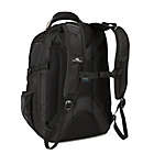 Alternate image 1 for High Sierra&reg; Business Laptop Backpack in Black