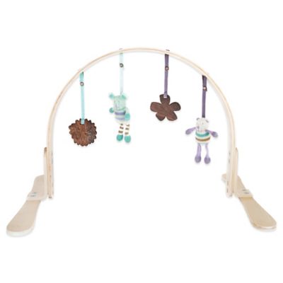 buy buy baby play gym