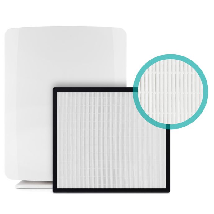 bed bath and beyond hepa filter