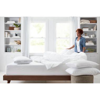 Claritin&reg; Cotton Standard/Queen Back/Stomach Sleeper Pillow. View a larger version of this product image.