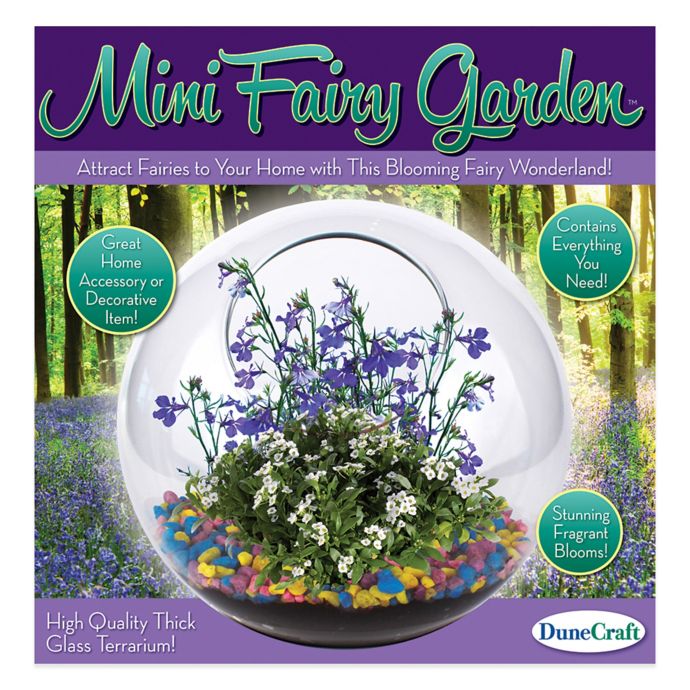 Dunecraft Mini Fairy Garden Buybuy Baby