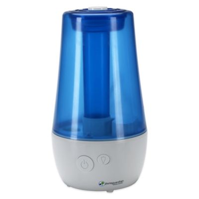 humidifier with mist