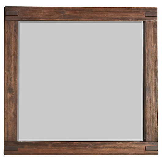 Alternate image 1 for Modus Furniture Meadow 38-Inch x 48-Inch Rectangular Wall Mirror in Brick Brown
