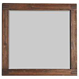 Modus Furniture Meadow 38-Inch x 48-Inch Rectangular Wall Mirror in Brick Brown