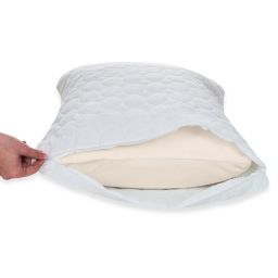 Remedy Bed Bug and Dust Mite Pillow Protector in White (Set of 2)