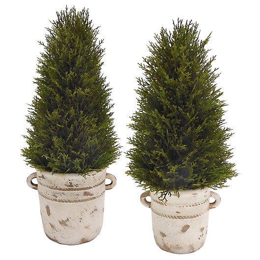 Alternate image 1 for Bee & Willow™ Cypress Topiary Tree in Cement Pot