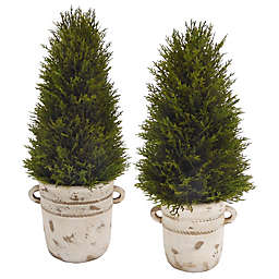Bee & Willow™ Cypress Topiary Tree in Cement Pot