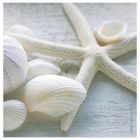 Alternate image 0 for Thirstystone&reg; Coastal Driftwood Coaster