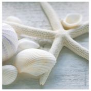 Thirstystone&reg; Coastal Driftwood Coaster