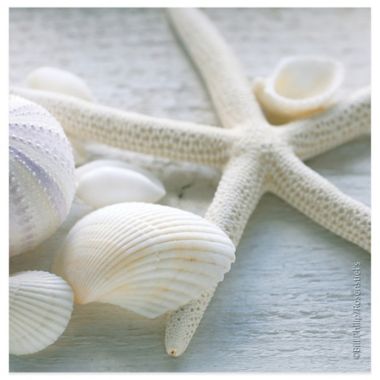 Thirstystone&reg; Coastal Driftwood Coaster. View a larger version of this product image.