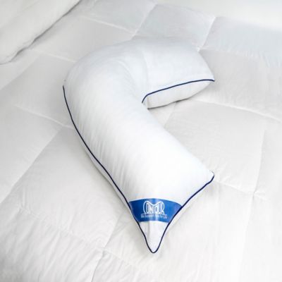 body pillows at bed bath & beyond