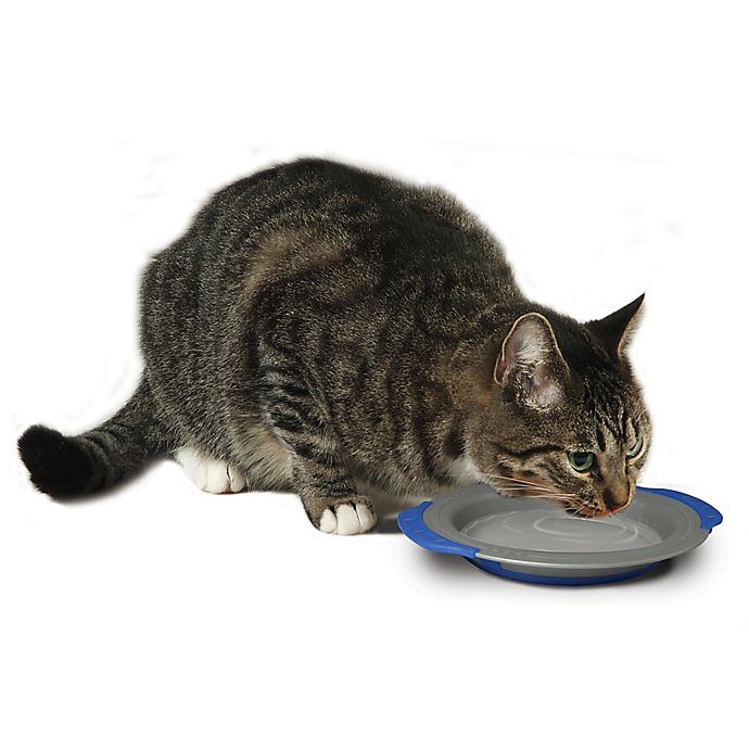 Pet Stages Comfort Cat Water Dish Bed Bath and Beyond Canada