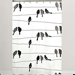 SKL Home Birds on a Wire PEVA Shower Curtain