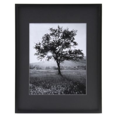 simple black picture frames