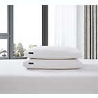 Alternate image 1 for Beautyrest&reg; Cotton/Tencel&reg; Blend Feather Down Bed Pillows (Set of 2)
