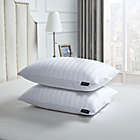 Alternate image 1 for Beautyrest&reg; Damask Stripe Feather Down Bed Pillows (Set of 2)