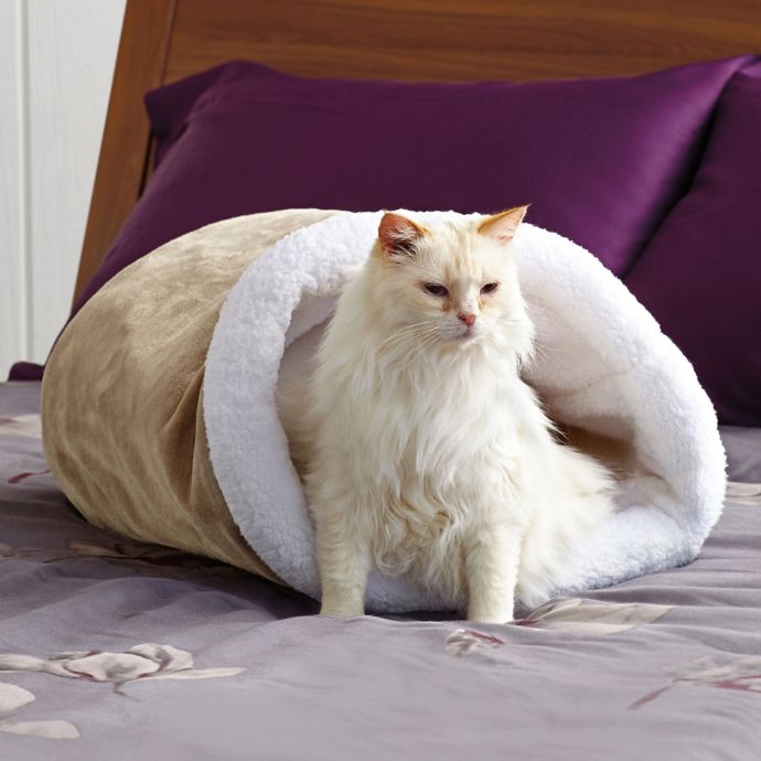 Pawslife™ Cat Crinkle Cave Bed Bath & Beyond