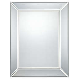 Quoizel® Carrigan 26-Inch x 32-Inch Mirror