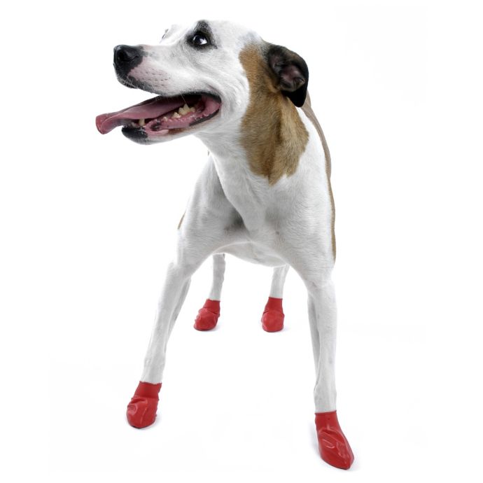 Pawz Size S Dog Boots | Bed Bath & Beyond