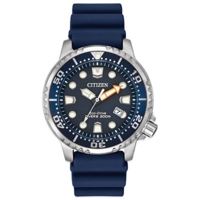 citizen eco drive pro diver