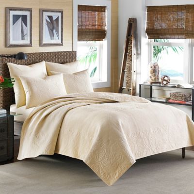 tommy bahama beach bliss