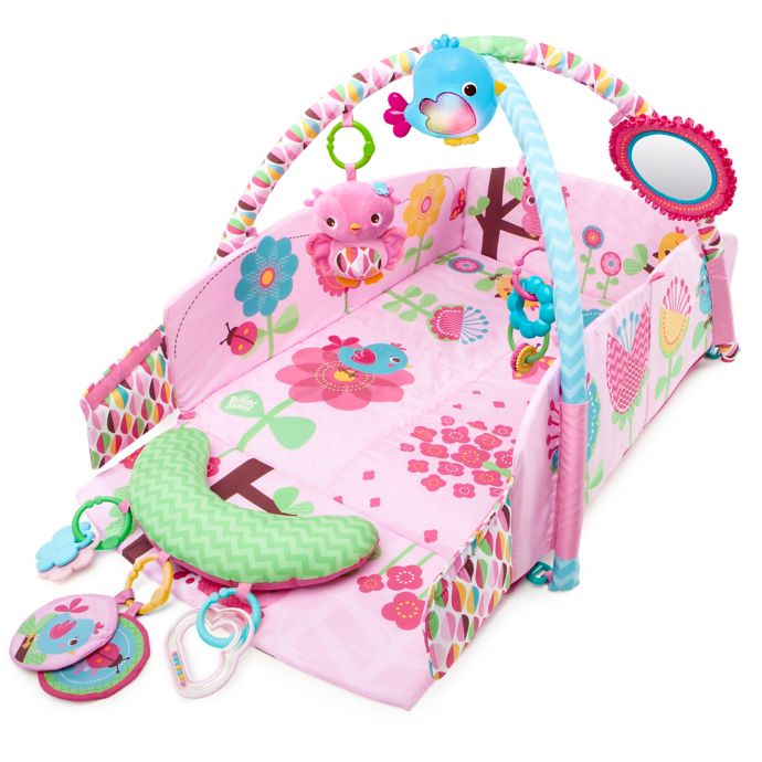 Bright Starts Pretty In Pink Sweet Songbirds Baby S Play Place